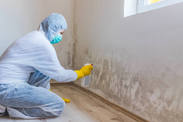 Mold Remediation specialist working in Entriken