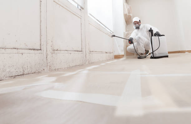 Black mold remediation team in Entriken