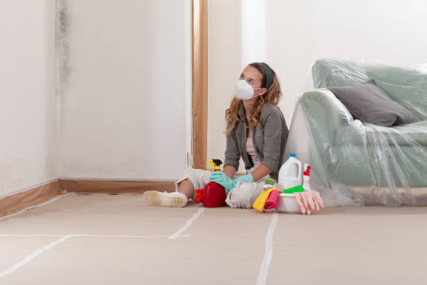 Mold Removal service in Entriken
